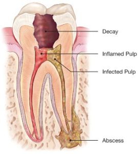 Teeth Heaven Multispeciality Dental Clinic